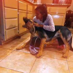 Meet your Posher, Maria